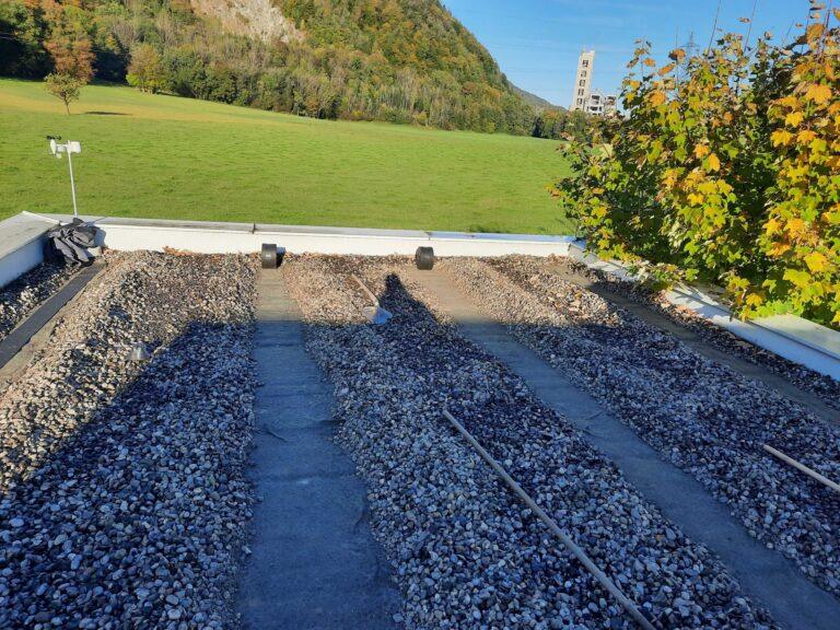 20211015_090639-scaled