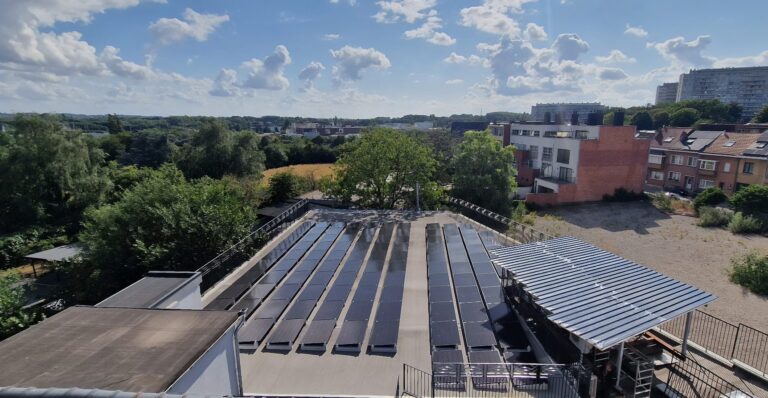 BV-SUNFLOWER-SOLUTIONS-3-1