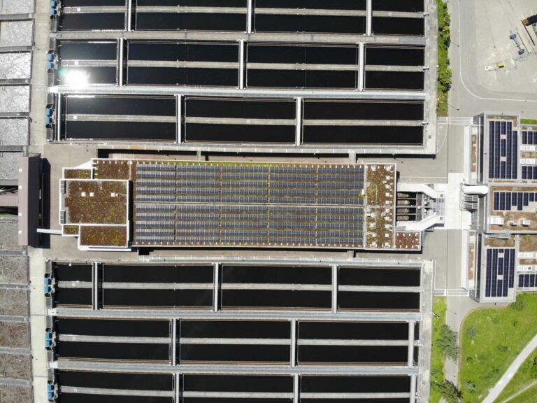 DJI_0196-scaled